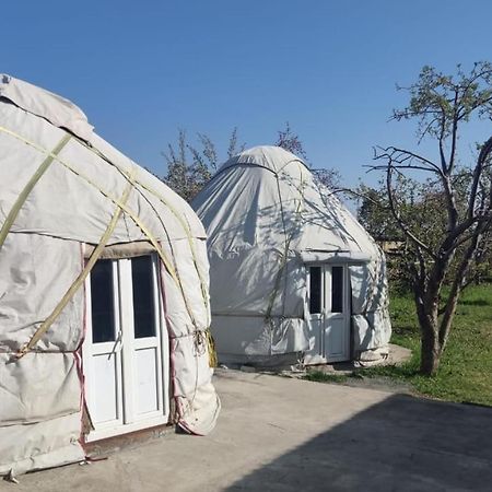 Yurt Stay In Downtown Karakoł Zewnętrze zdjęcie