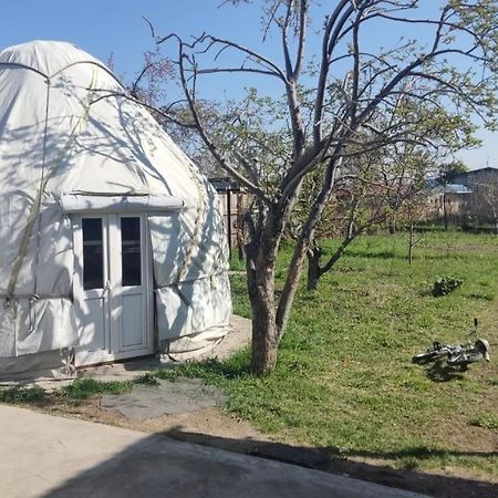 Yurt Stay In Downtown Karakoł Zewnętrze zdjęcie